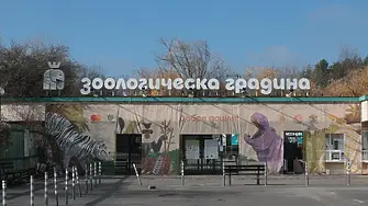 „Прогресивна България“: Честит празник на София с розови фламинго в зоопарка и дупки по улиците
