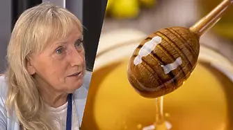 Елена Йончева: 28% от меда в ЕС се внася от Украйна!
