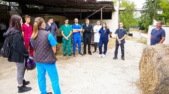 Първи стъпки във ветеринарната медицина!