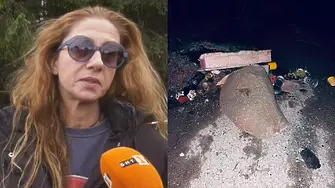 Ралица Асенова за разрушаването на паметната плоча на „Петрохан”: Прокуратурата да се самосезира