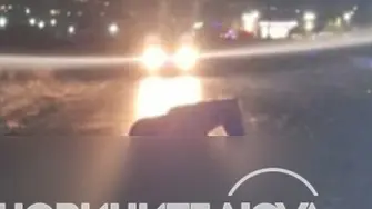 Двама с условни присъди за катастрофата с коне, при която загина 18-годишната Андрея