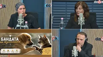 Чуй доброто - Бандата на безгласните