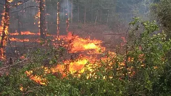 Заради пожар е ограничено движението по пътя Гривица – Згалево – Пордим край Плевен