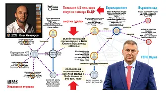 BIRD с нови разкрития за скандалния случай Баба Алино