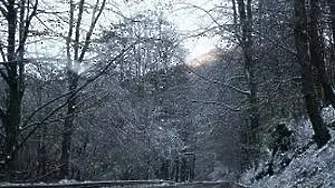 Сняг заваля в някои райони на страната