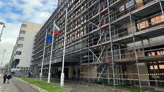 Вотът в Германия: Между умората от поредни избори и надеждата за сигурност у дома