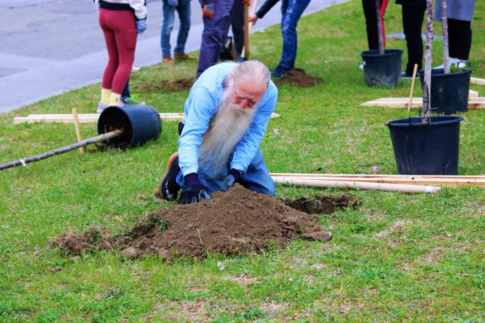 Засадиха над 100 японски вишни в парк „Македония“ в Благоевград