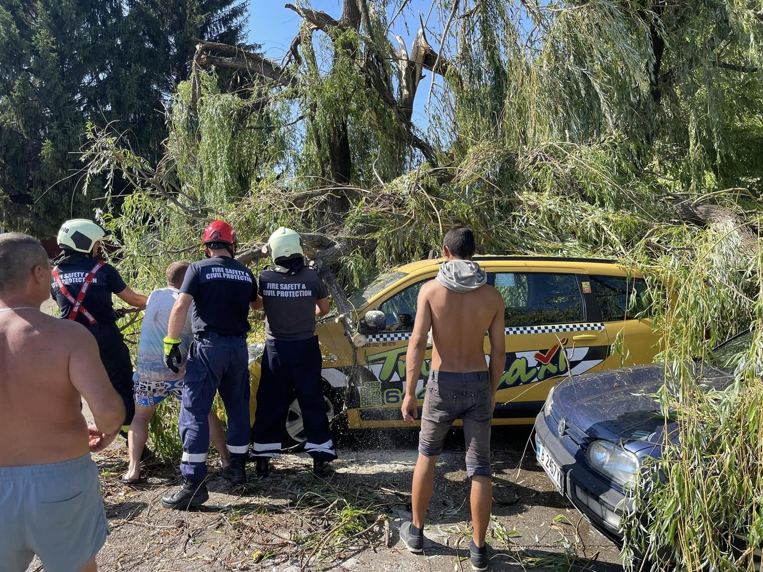 70 паднали дървета в Девня след буря (СНИМКИ)