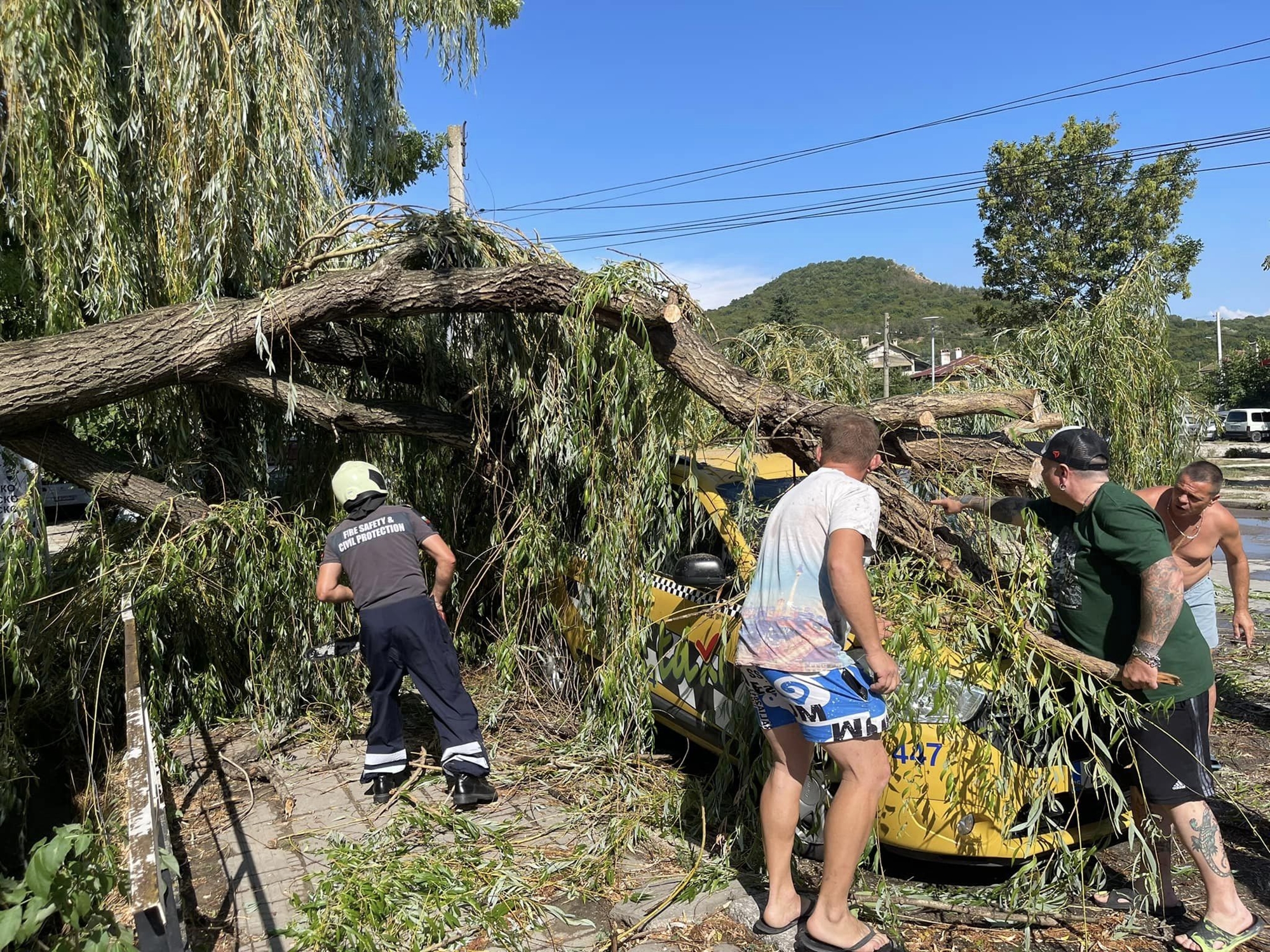 70 паднали дървета в Девня след буря (СНИМКИ)