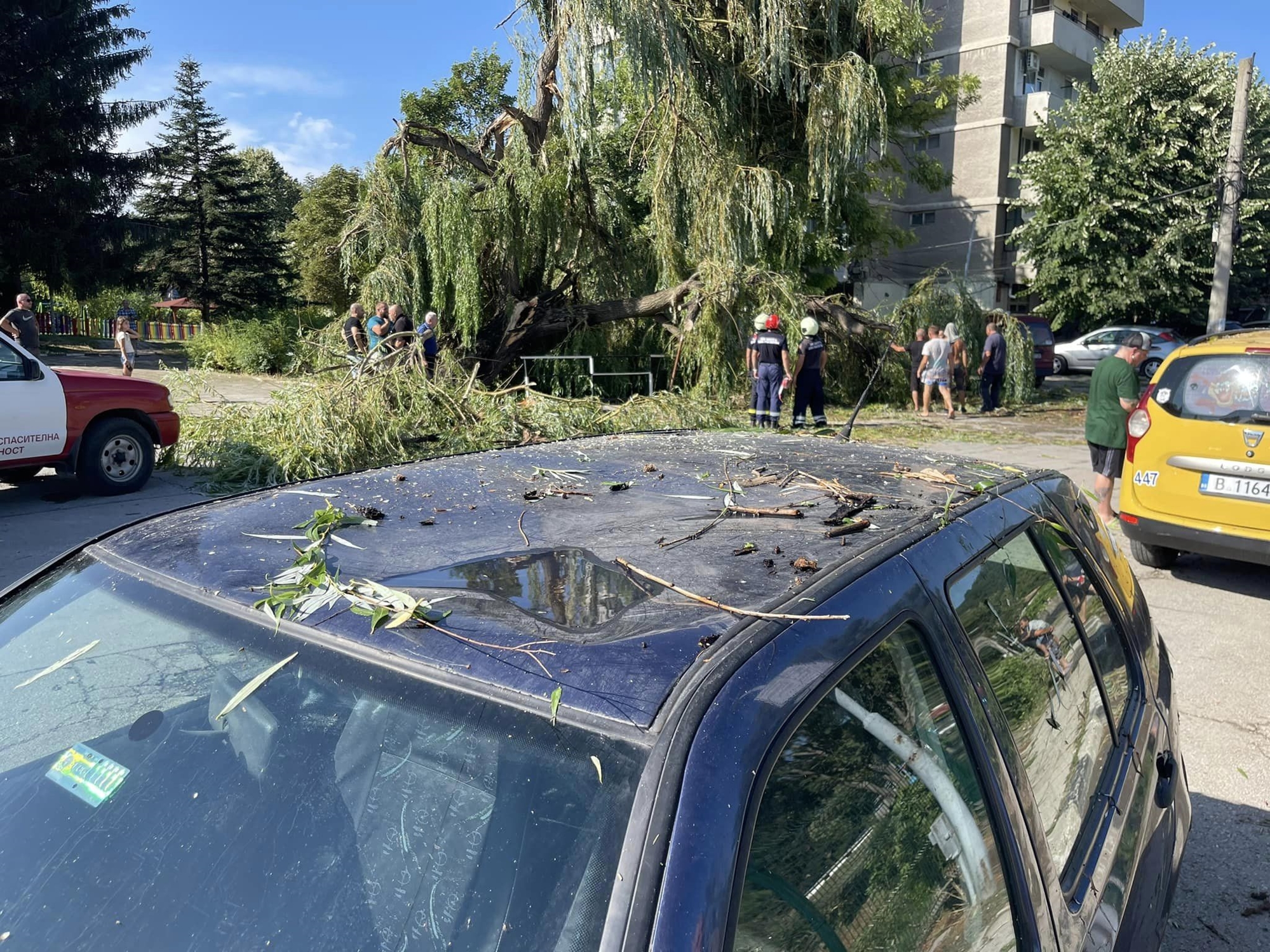 70 паднали дървета в Девня след буря (СНИМКИ)