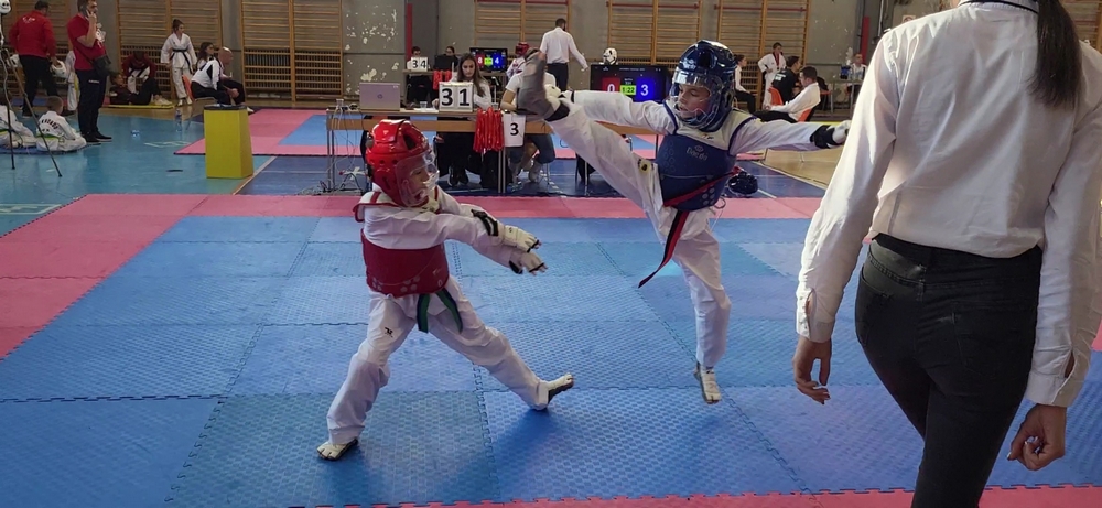  10 златни ,5 сребърни и 3 бронзови медала спечелиха ТК Нерон от международен турнир