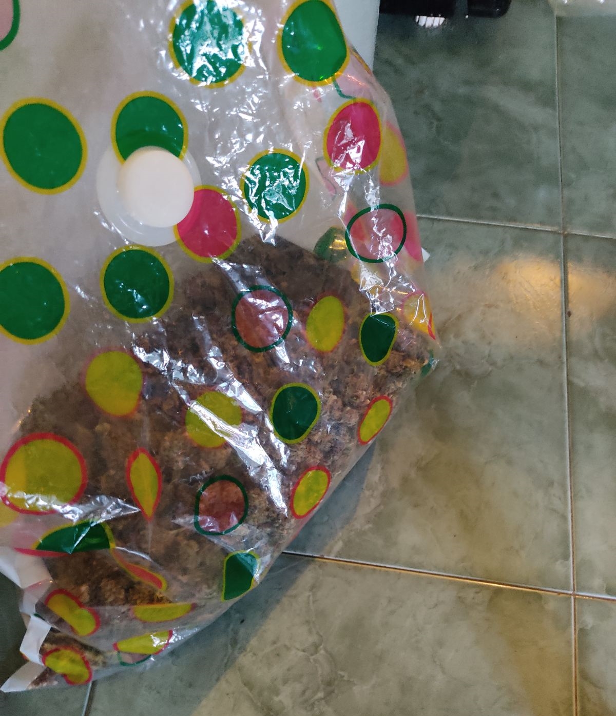 7 души задържани с голямо количество дрога във Варна (СНИМКИ)