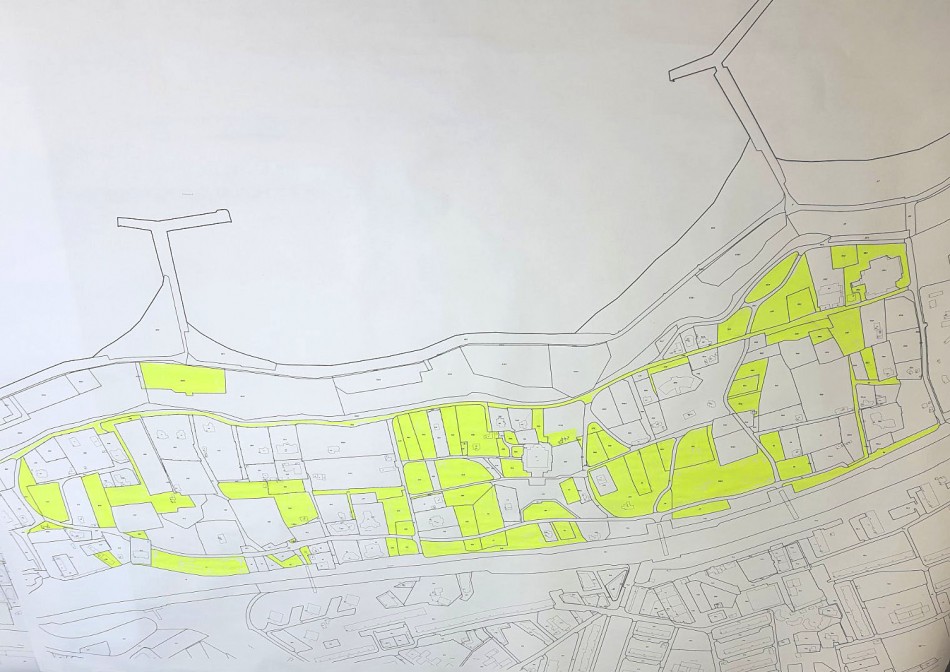 Премахват изсъхнали и опасни дървета в Морската градина