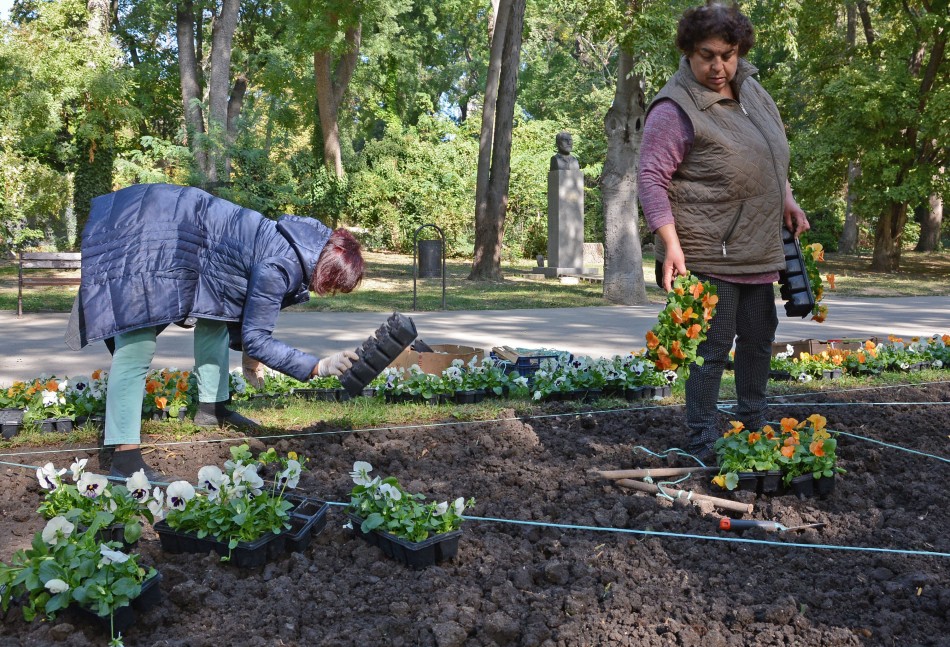 Засаждат десетки хиляди лалета и теменужки в Морската градина на Варна (СНИМКИ)