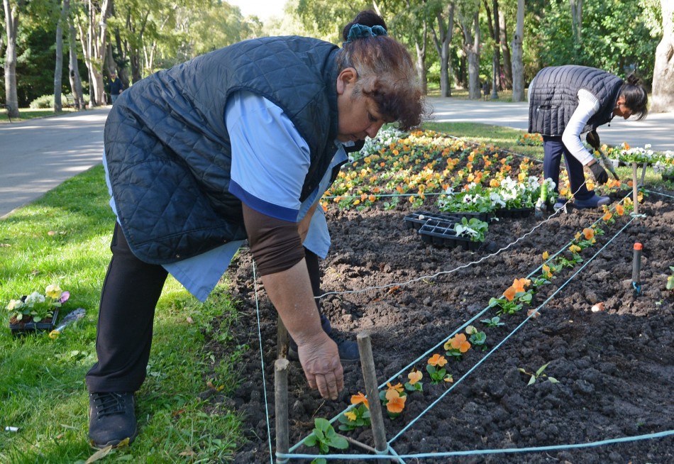 Засаждат десетки хиляди лалета и теменужки в Морската градина на Варна (СНИМКИ)