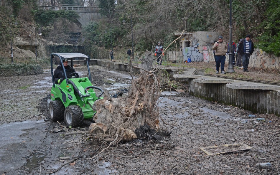 Разчистват от дървета езерото в Морската градина (СНИМКИ)
