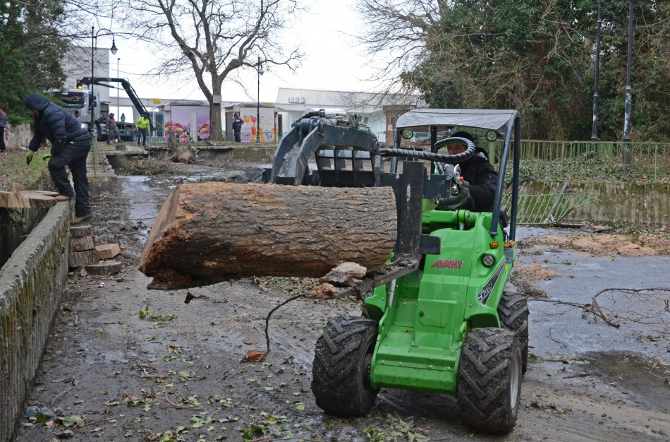 Разчистват от дървета езерото в Морската градина (СНИМКИ)