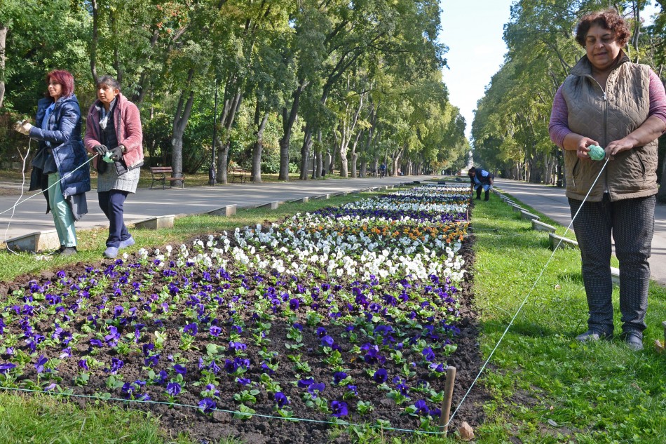 Засаждат десетки хиляди лалета и теменужки в Морската градина на Варна (СНИМКИ)