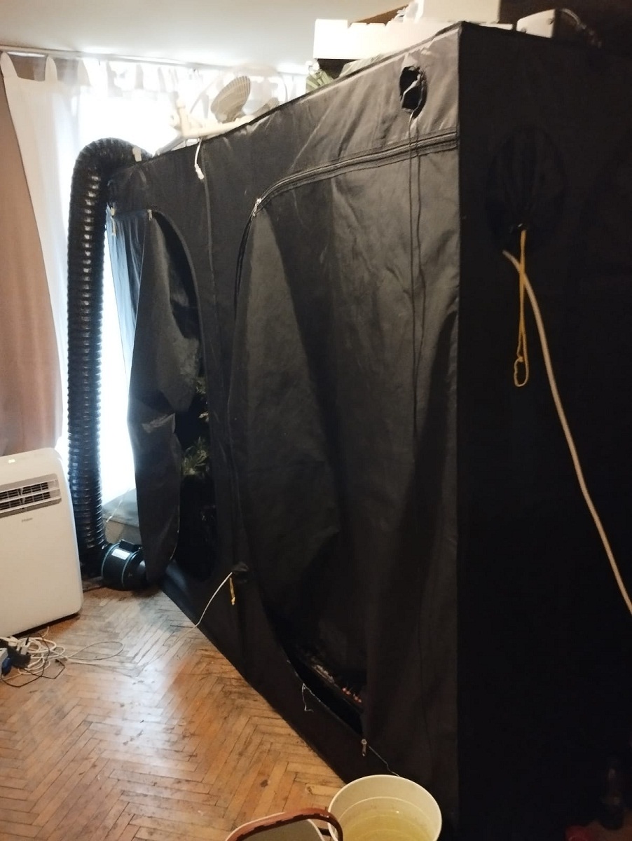 Разкриха наркооранжерия в центъра на Варна (СНИМКИ)