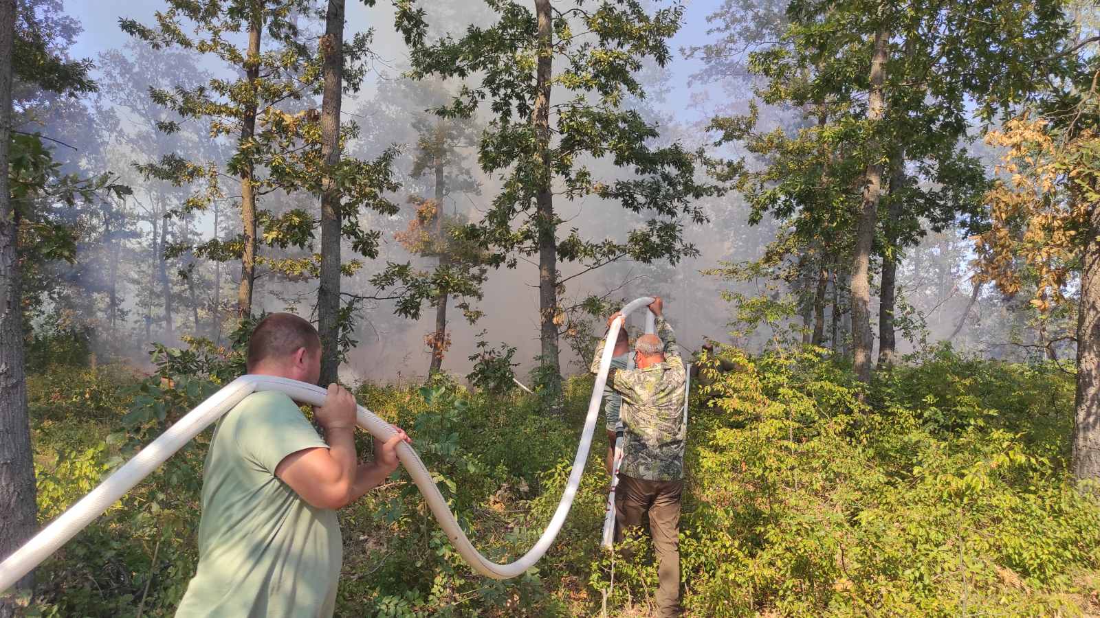 Трети ден гасят пожар в гора край Варна (СНИМКИ)
