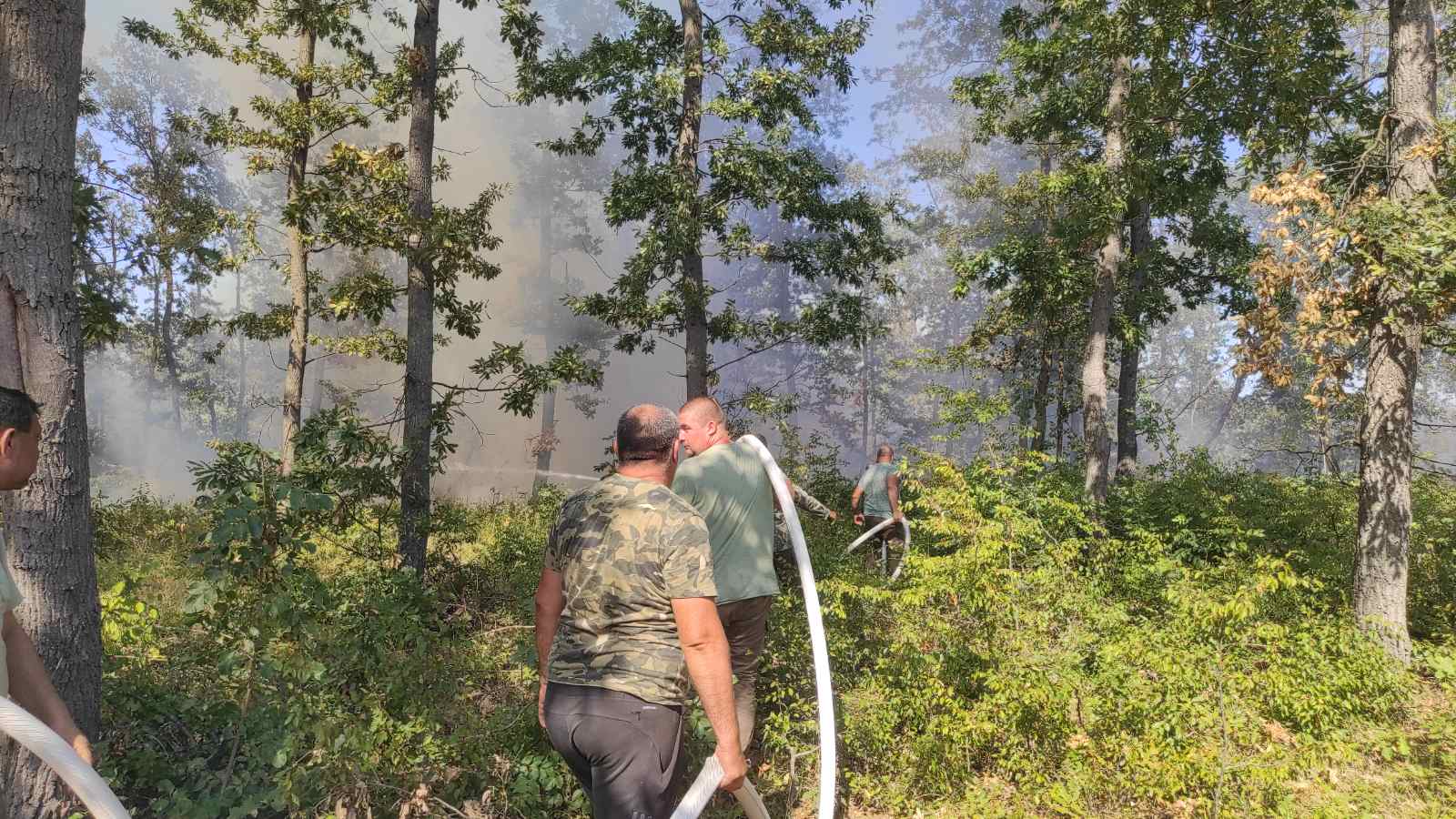 Трети ден гасят пожар в гора край Варна (СНИМКИ)